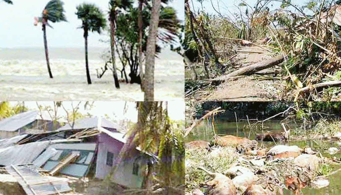 আজ ভয়াল ১২ নভেম্বর